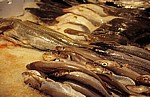 Markt: Frische Fische - Enschede